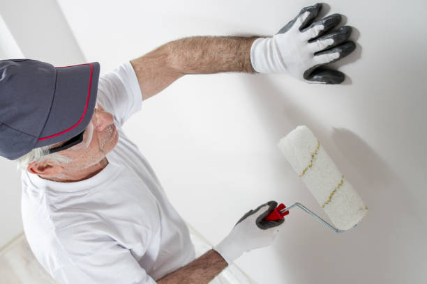 Best Attic Mold Removal  in Woody, WA