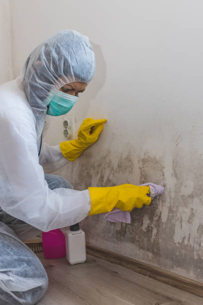 Mold Remediation for Vacation Homes in Woodway, WA