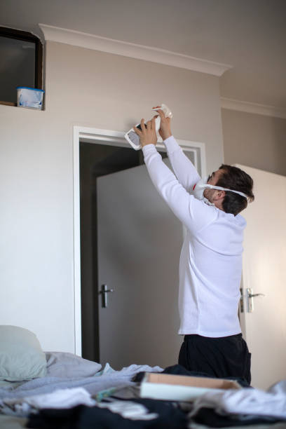 Reliable Woodway, WA Mold Removal Solutions