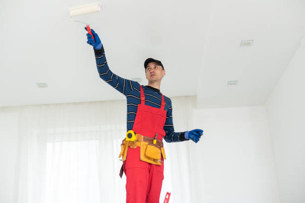 Best Mold Removal for HVAC Installations  in Woody, WA