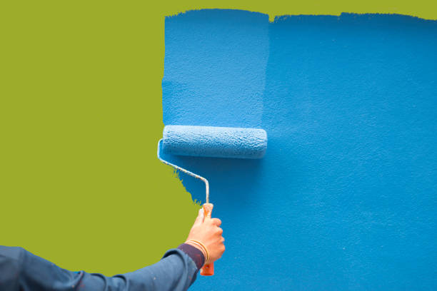 Mold Odor Removal Services in Woodway, WA