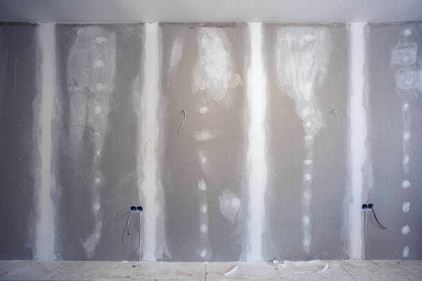 Best Mold Odor Removal Services  in Woody, WA